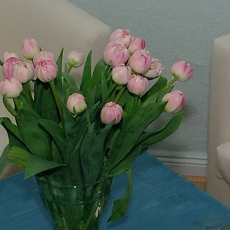Guesthouse21 Отель